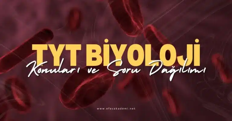 2026 TYT Biyoloji Konuları ve Soru Dağılımı