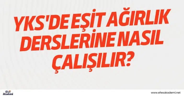 YKS’de Eşit Ağırlık Derslerine Nasıl Çalışılır?