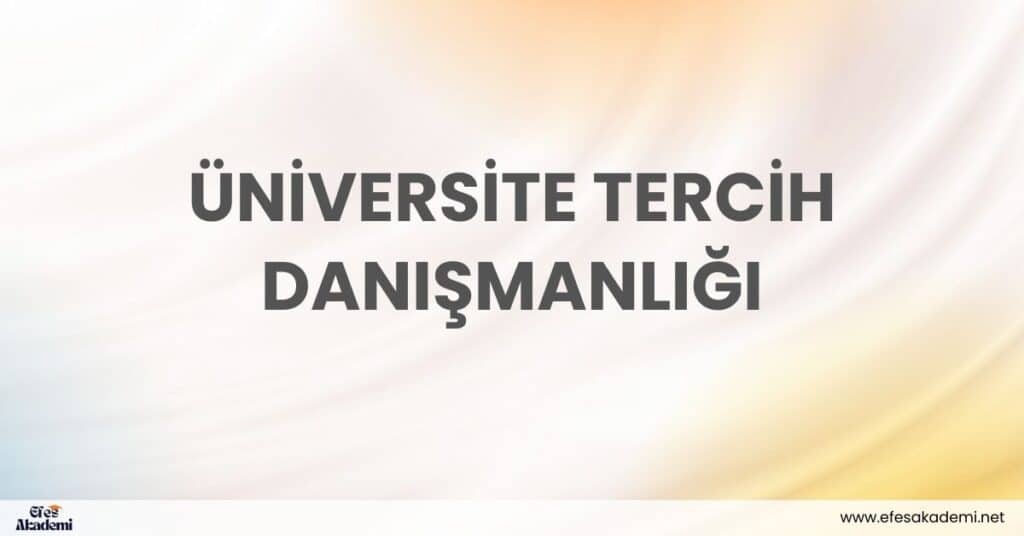 universite tercih danismanligi