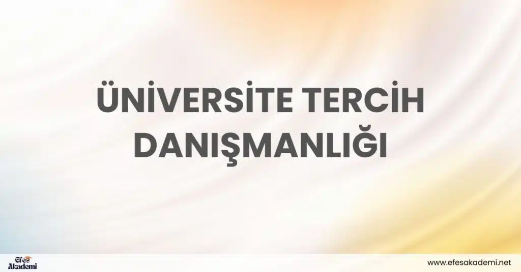 universite tercih danismanligi