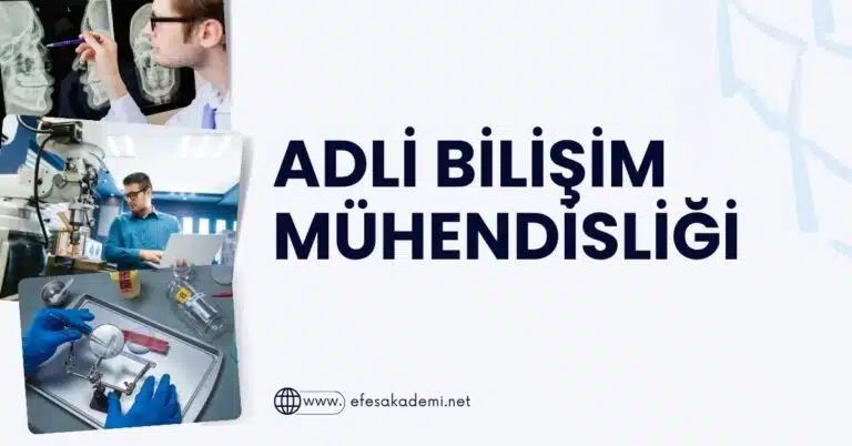 2025 Adli Bilişim Mühendisliği Taban Puanları ve Başarı Sıralamaları