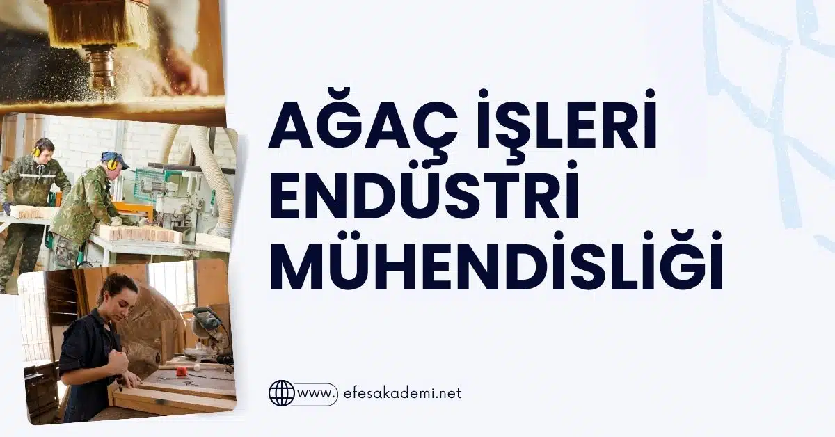 2025 Ağaç İşleri Endüstri Mühendisliği Taban Puanları ve Başarı Sıralamaları