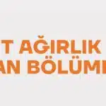 Eşit Ağırlık ile Alan Bölümler (Lisans) (4 Yıllık)