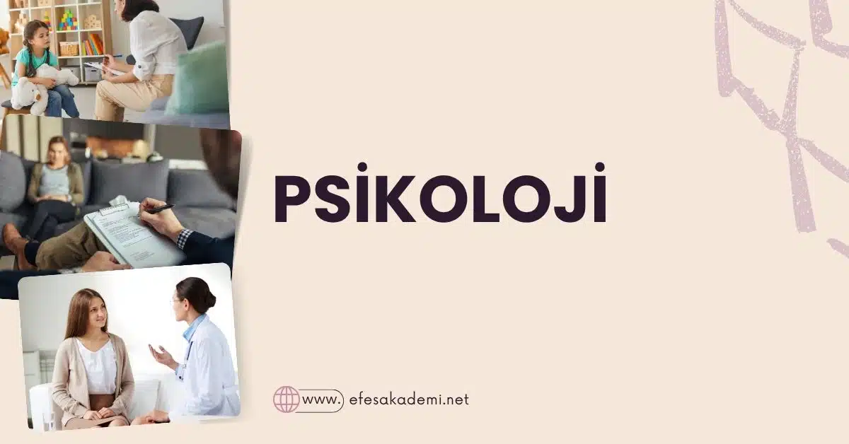 2025 Psikoloji Taban Puanları ve Başarı Sıralamaları