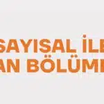 Sayısal ile Alan Bölümler (Lisans) (4 Yıllık)