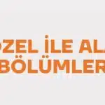 Sözel ile Alan Bölümler (Lisans) (4 Yıllık)