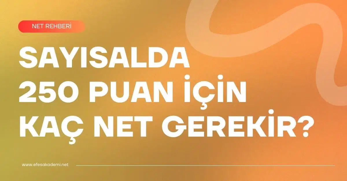Sayısalda 250 Puan İçin Kaç Net Gerekir? (Net Rehberi)