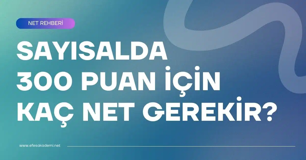 Sayısalda 300 Puan İçin Kaç Net Gerekir? (Net Rehberi)